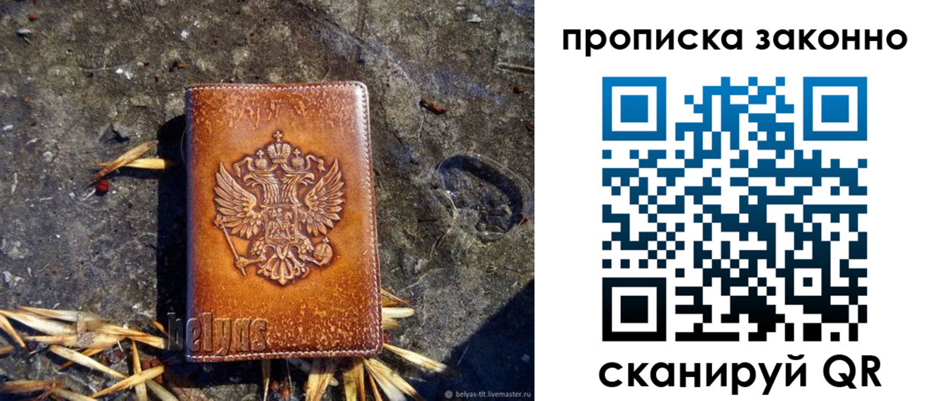 прописка паспорт в Волгоградской области